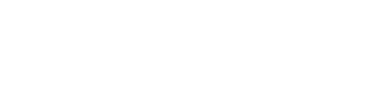 Czech Recovery