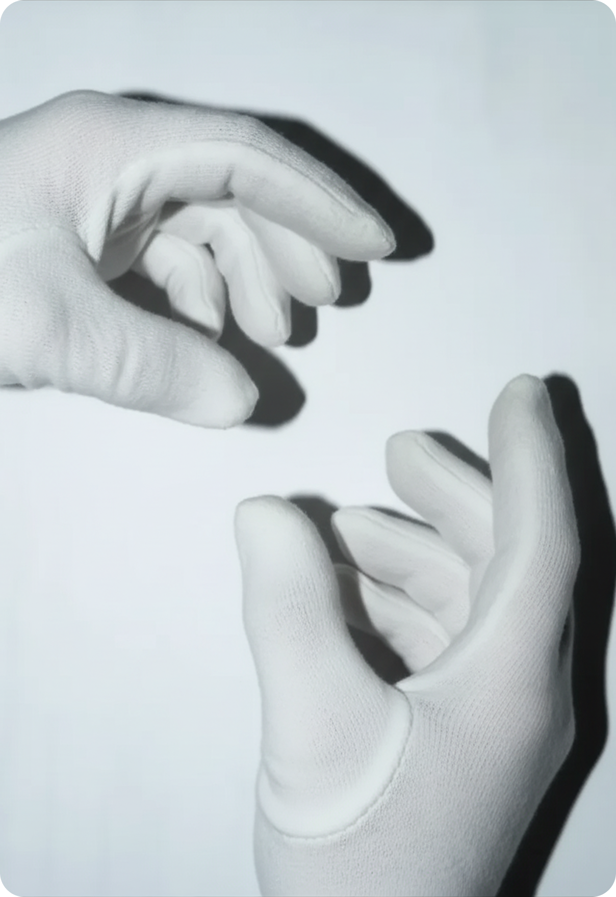Serviços White Glove